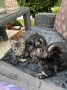Sally_Sam (4)